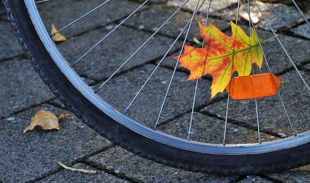 今日のラッキーアイテム「自転車」